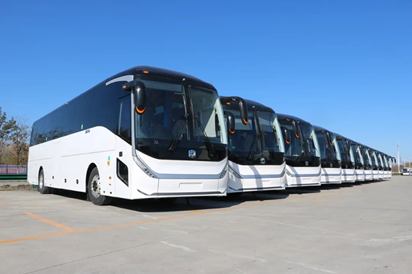 image013.png image013.png